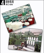 Dongguan Cocou Textile Materials Co. Ltd.