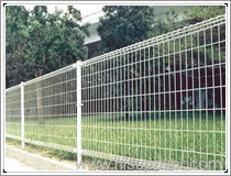 Wire Mesh Fence