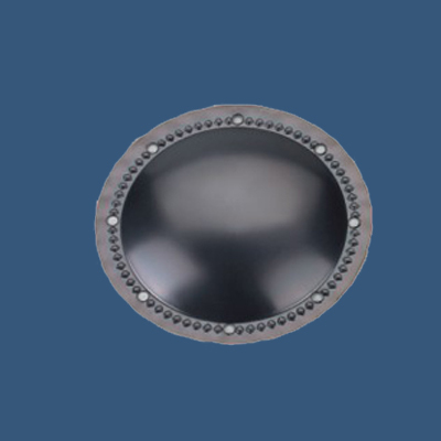 Titanium Diaphragm