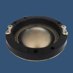 Titanium Diaphragm