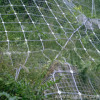 protective wire mesh