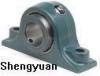 Pillow Block Bearing