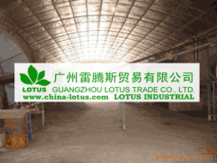 Guangzhou Lotus Trade Co., Ltd.