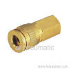 Female thread air coupler