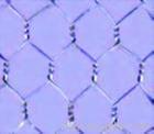 hexagonal wire mesh