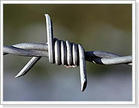 Barbed wire