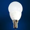 Halogen Light Bulbs