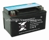 Sealed Lead Acid Battery