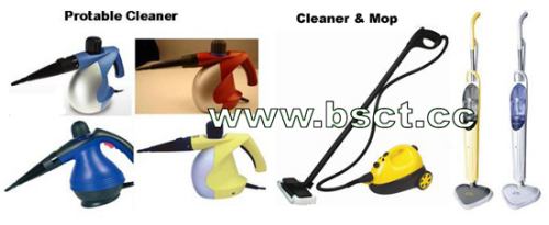 Steam cleaner