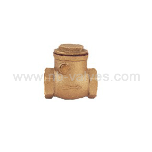 Swing pattern Check Valve