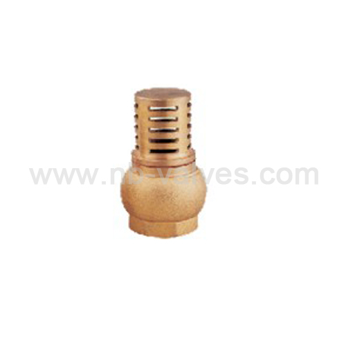 Foot check valve