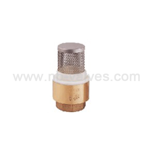 Stainless steel filter check valve