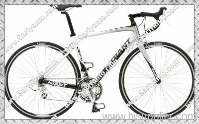 Giant 2010 Defy 3