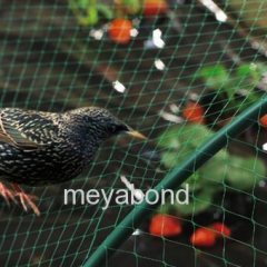 bird net