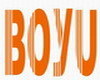 Shenzhen Boyu Instrument Co., Ltd.