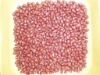 red rice