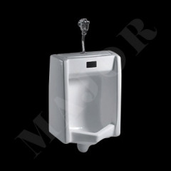 Wall hung Urinal