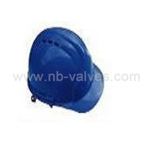 Brim safety helmet