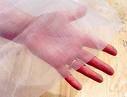 insect net