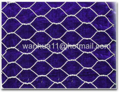 hexagonal wire mesh