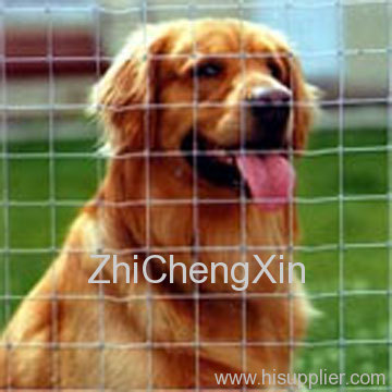 dog wire mesh