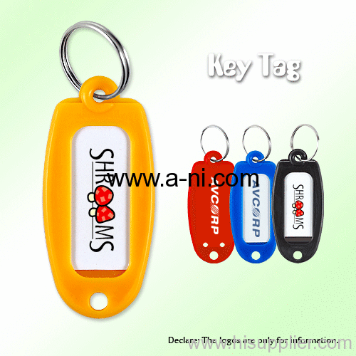 classic plastic key tag