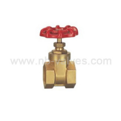 Gate Valve Body