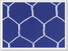 hexagonal wire mesh