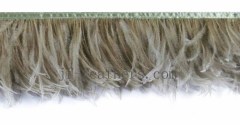 ostrich feather trim