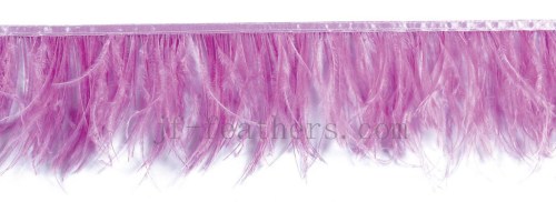 ostrich feather lace colored