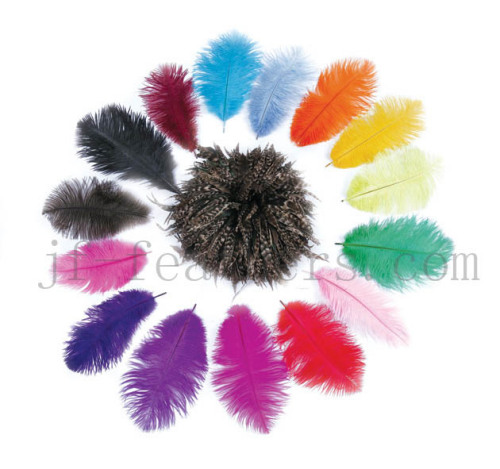ostrich feather plume