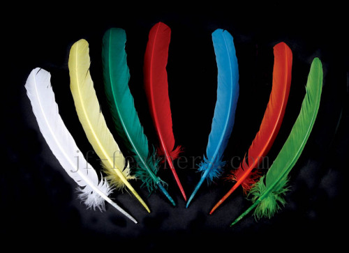 turkey feather quill