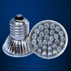 Common Led Spot Light