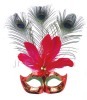 Feather mask