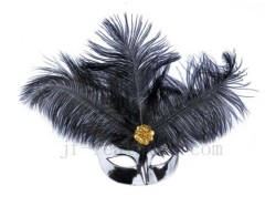 Feather mask