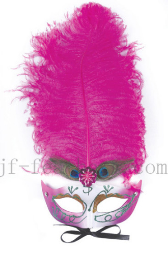 Fancy feather masks