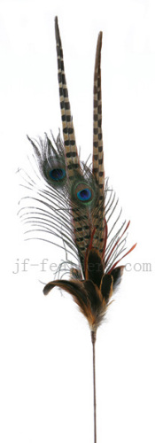 carnival feather flowers
