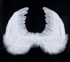 Feather angle wing