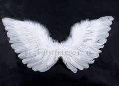 Feather angle wing