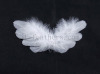 Feather angle wing