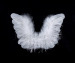 Feather angle wing