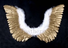 Feather angle wing