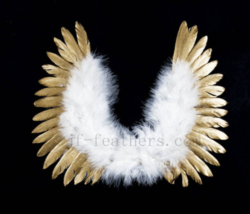 Feather angle wings