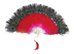 fancy feather fan