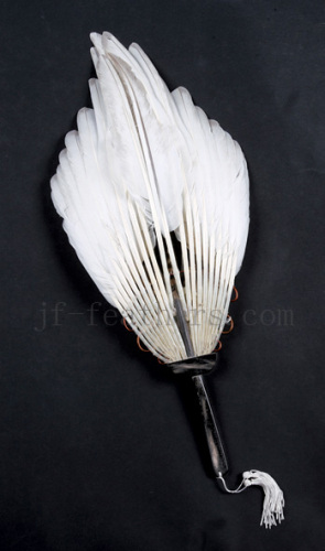 turkey feather fans