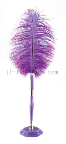 ostrich feather pen