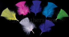 fancy feathers
