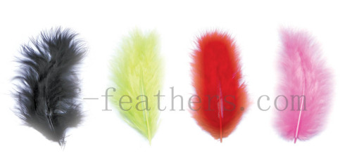 fancy turkey feather