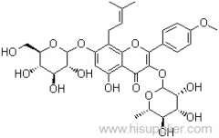 milk thistle extract