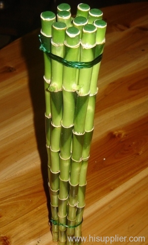 straight bamboo